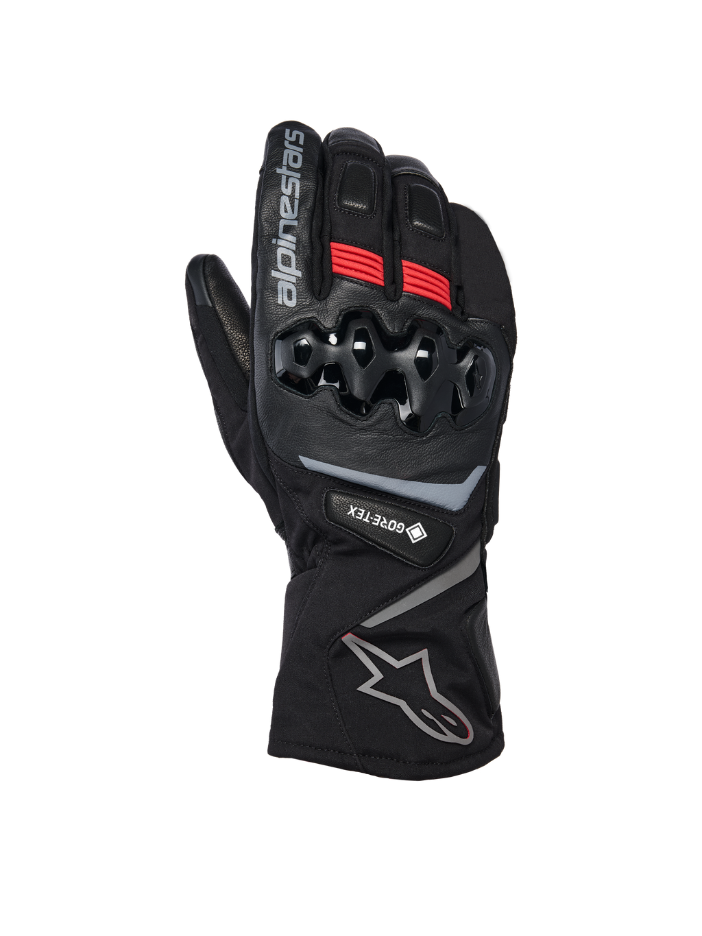 WT-8 GORE-TEX Insulated Gloves