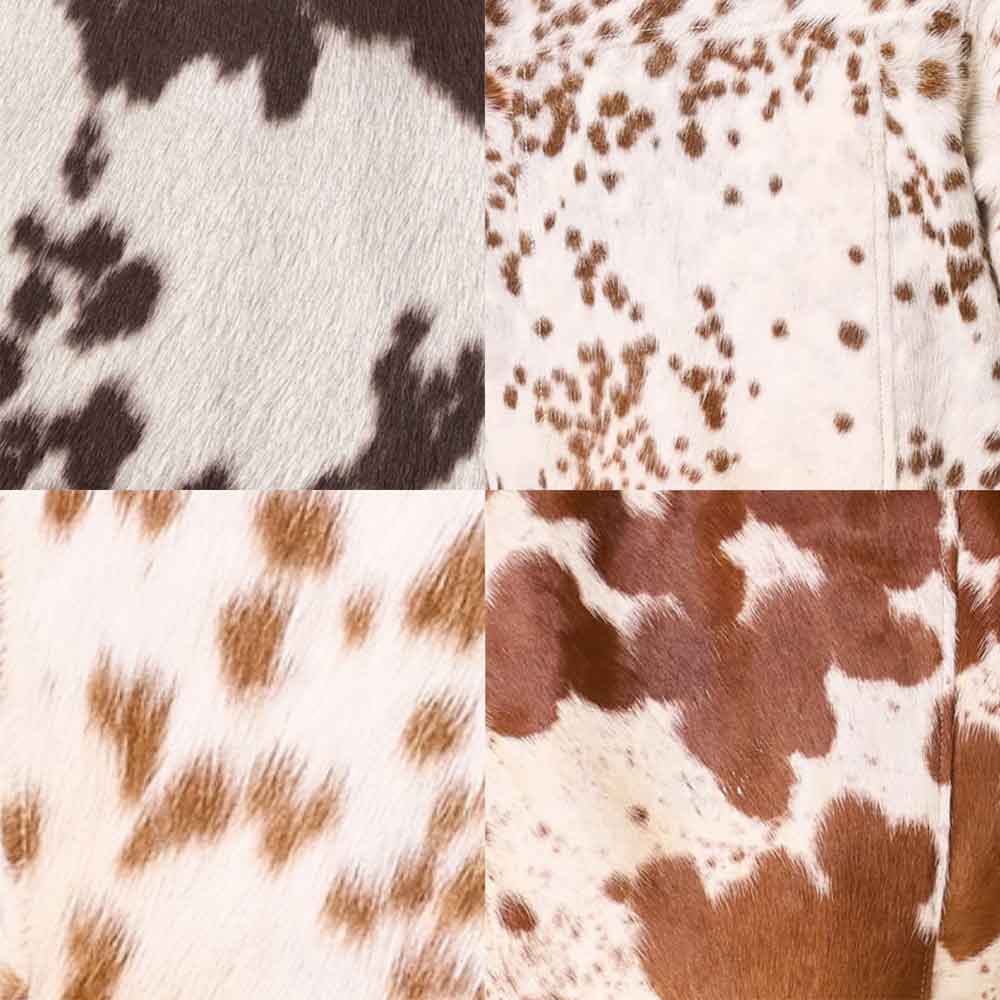 Cowhide Print Jacket